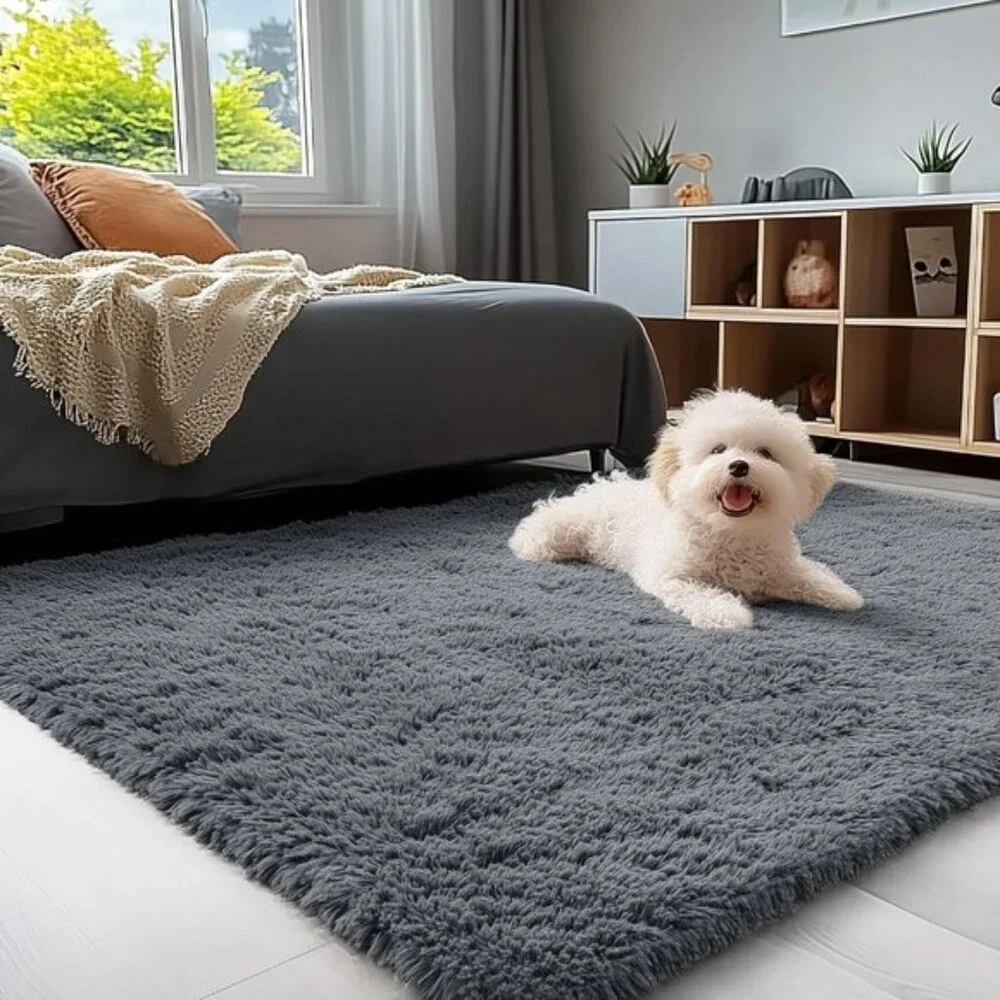New Grey 4x6 Washable Shag Area Rug, Soft Fluffy Carpet for Home & Room Decor